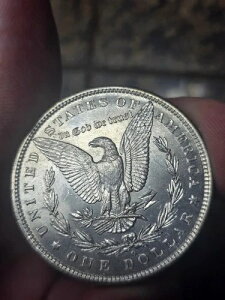 1882-O 1�h�� �Ǖi �����K���h�� �v���[�t ���˔� 1�_���� o/s