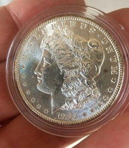 1881�N S ���[�K���h�� Choice-Gem Bu ������ - C 9801-