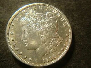 1886-S/S VAM �\���b�h ���[�K�� �w�b�h �_���[ �v���O���� �N�I���e�B �R�C�� PSC