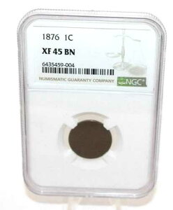 1876 NGC �C���f�B�A���w�b�h �Z���g XF45 BN [084WEJ]