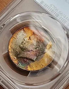 �����X�^�[�g�i�[ 1964 PCGS MS66 �V���o�[ �P�l�f�B �n�[�t�_���[ 50�Z���g