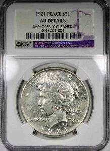 1921�N���������蕽�a�h��NGC AU�ڍוs�K�؂ɐ��