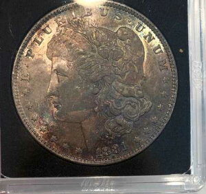 ����1881-O�N�č������K�����