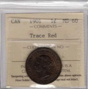 1901�N�J�i�_��^1�Z���g�d�� - ICCS MS 60 �g���[�X���b�h