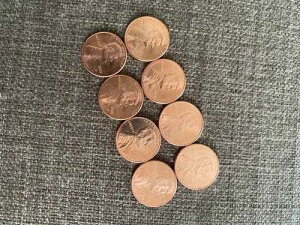 2021 P & D 2�R�C�����b�g �����J�[���V�[���h�Z���g�y�j�[�y�j�[�iBU�j