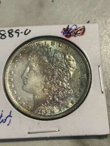 1889 O �����K�� �_���[ �n�C�O���[�h �����X�^�[�J���[ �o�i���X�g�����m�F��������??
