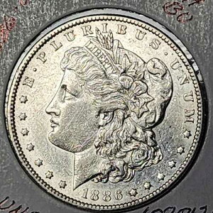 1886-O ���[�K�� �V���o�[�h�� �i�C�X ���t���N�V���� �t�B�[���Y �u���X�g �z���C�g BU #1070123-125V