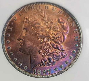 1897�N �����K����� VIVID�S�[���h/���C���{�[�g�[�j���O �n�C�O���[�h (T4)