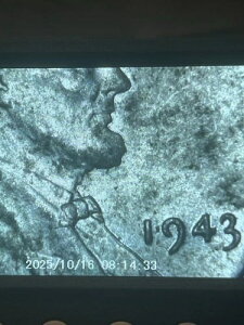 1943 �N���X�`�[���������y�j�[ -L- ������A�M�S�ȃR���N�^�[�����̑�ϒ������y�j�[�ł�!!!!!!