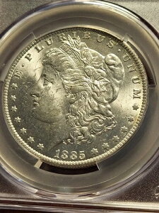 1885 O �����K����݁ACACG MS61�A�j���[�I�[�����Y inv11 g66jr