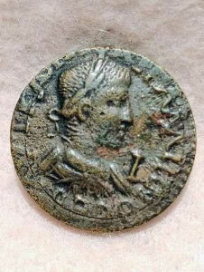 �M���V�� ~ Gakkienus Pampphyulia PERGE ~ 1 AE ~ CH VF ~ CNG �I�[�N�V���� ���b�g