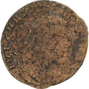 [#1505465] �}�N�Z���e�B�E�X�A�t�H���X�A307�A�A�N�C���C�A�A�u�����Y�AAU(50-53)�ARIC:113