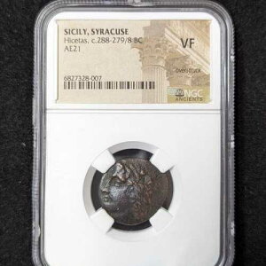 �V�`���A���A�V���L���[�X NGC VF �I�[�o�[�X�g���b�N �q�P�^�X �I���O288-279�N AE21 6827328-007