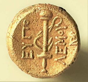 �}�P�h�j�A���A�J���A���A�~���T���i�I���O295-280�N�j�B17mm 5gr AE AR �G�E�|�����X�E�X�g���e�S�X VF