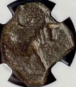 NGC�F�� �I���O100�N�`�I���O76�N �I���^�j�l �Ñ�P���g �C�x���A�R�C�� �u���E�N���Z���g