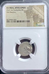 �Ñ�M���V�� �C�������A�� �h���N�} �I���O229�N-�I���O100�N NGC �h���N�} �M���V�� �A�|���j�A