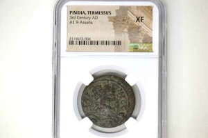 �s�V�f�B�A�B�e�����X�B Ca.����3���I�B AE 9-�A�T���A (28mm�A7h)�B NGC XF