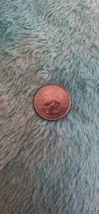 �č��}�[�V���E�r�����O�X�E���b�N�t�F���[�l���� 2020-D �� - �j�b�P�����b�L�� q�B