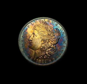 1881-S �����K����� ���ٓI�ȃ����X�^�[�g�[���I �������I �قږ�����