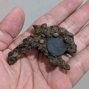 �{���̃I�����_�� VOC 1 Duit 1771 ���ΐ씭���R�C��_Z54