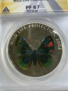 2002�N�R���S 10�t���� �v���[�t �u���[�O���[���o�^�t���C ANACS�ɂ��PR 67 DCAM�]��