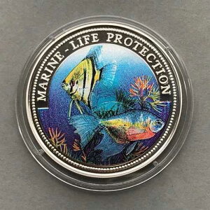 ���x���A��� 5�h�� 1996�N �C�m�����ی�v���[�t