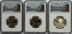 2025 P D S $1 �T�J�K�E�B�A NGC MS 67 PF69 ���A���[ �J�E�F�i �v�N�C 3 �R�C�� �Z�b�g �v���[�t & �~���g