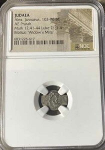 NGC�F��E�B�h�E�Y�E�}�C�g�F���_���̃v���^�i�I���O103-76�N�j���������R�C��