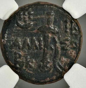 �|���g�D�X�E�A�j�\�X AE19 �I���O100-85�N �~�g���_�e�X6�� �A���X�i�H�j ����茕 NGC F