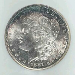 1881-S ���[�K�� �V���o�[�h�� ~ NGC MS 64 ~�������R�C��~REF#12-007