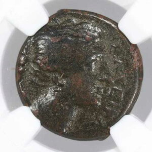 �A�S�g�N���X AE20 �V�`���A �V���N�T �Ñ�M���V������ �I���O317-289�N - NGC Ch F