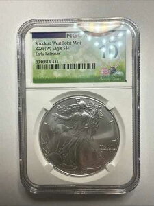 2025W �A�����J�� �V���o�[ �C�[�O�� NGC 10 ER ���������[�X ?? (E795)