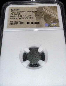 �E�B�h�E�Y�E�}�C�g NGC �F�� * �I�� * ���_���̃v���^ �I���O 103-76 �N �A���N�T���_�[�E�����i�C�I�X
