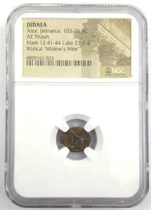 �E�B�h�E�Y�E�}�C�g NGC �F�� * �I�� * ���_���̃v���^ �I���O 103-76 �N �A���N�T���_�[�E�����i�C�I�X