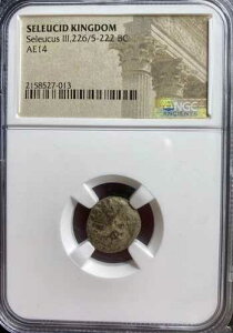 �Ñ�M���V�� �Z���E�R�X�� �R�C�� �Z���E�R�X3�� �I���O226-222�N NGC�F�� �{��