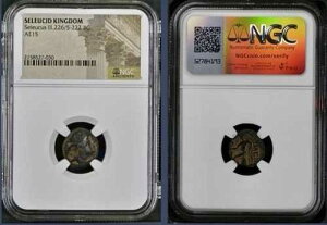�Ñ�M���V�� �Z���E�R�X�� �R�C�� �Z���E�R�X3�� �I���O226-222�N NGC�F�� �{��