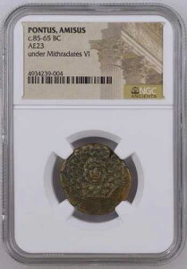 NGC AE23 �~�g���_�e�X6�� �I���O85-65�N �Ñ���� - �|���g�D�X�E�A�~�\�X�E�S���S��
