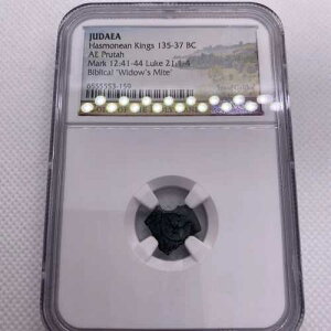�I���O 135 �` 37 �N ���_�� �n�X�������� AE �v���^ �����̖��S�l�̃_�j NGC �O���[�h