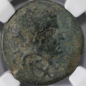 �^���R���f�B���g�D�X AE22 �L���L�A�� �����J�E���^�[�}�[�N�R�C�� �I���O39-31�N - NGC F