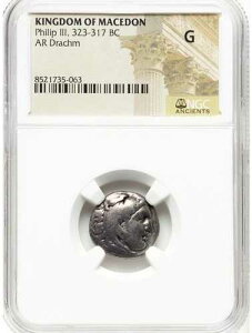 �I���O323-317�N �h���N�} �}�P�h�j�A �Ñ�M���V�� ��� NGC �A���N�T���_�[�剤 �^