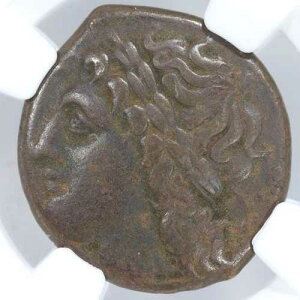 (�q�P�^�X) AE20 �V�`���A �V���N�T �Ñ�M���V�� ���� �I���O288-279/8�N - NGC Ch F
