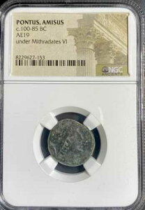 �~�g���_�e�X6�� �I���O100�N-�I���O85�N NGC�F��M���V���R�C�� �Ñ�|���g�D�X�E�A�~�\�X��