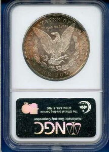 1882 P NGC MS64 ���[�K�� �V���o�[ �_���[ $1 �č������� 1882-P MS-64 ���j�[�N�ȃ^�u �g�[��!
