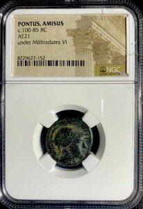 �~�g���_�e�X6�� �I���O100�N-�I���O85�N NGC�F��M���V���R�C�� �Ñ�|���g�D�X�E�A�~�\�X��