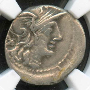 NGC - ���[�}���a�� - AR �f�i���E�X - �I���O 134 �N - �e�B�e�B�B�~�k�V�E�X C.F.�A�E�O���k�X - Ch F