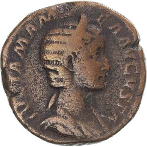 [#343288] �R�C���A�W�����A�E�}�}�G�A�A�Z�X�e���e�B�E�X�A230�A���[�}�AVF(30-35)�A�u�����Y�ARIC:683