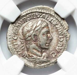 �鍑 �Z�E�F���X�E�A���N�T���_�[�E���B���g�D�X �� 225�N NGC XF �Ñネ�[�}��� 410