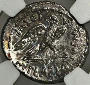 M �v���A�g���E�X M f �P�X�e�B�A�k�X AR �f�i���E�X �I���O67�N�܂���57�N ���_ �h NGC VF