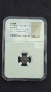 ���_�� AE �v���^ �n�X�������� 135-37 BC NGC F �����̖��S�l�̃_�j
