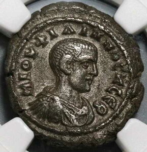 245 NGC XF �G�W�v�g �A���N�T���h���A �t�B���b�v2�� �J�G�T�� �e�g���h���N�} �[�E�X ���� (20010301C)